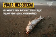 Збирати та споживати рибу, яка загинула внаслідок падіння рівня води, категорично заборонено!
