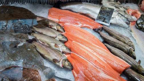 Будьте уважні: вживання риби може становити загрозу для здоров'я!