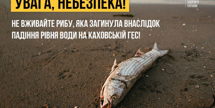 Збирати та споживати рибу, яка загинула внаслідок падіння рівня води, категорично заборонено!